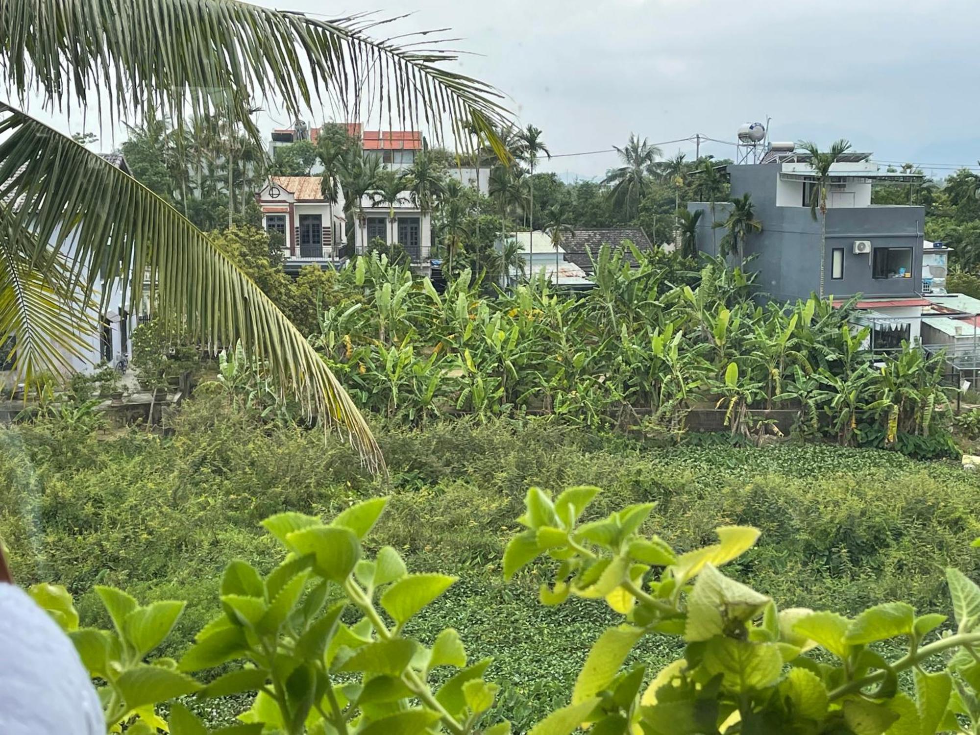 Hoi An Ti Hon House Villa Eksteriør bilde